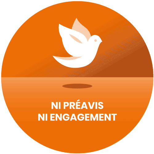 Trouvez votre femme de ménage de confiance avec Joker Liberté 7 liberte 1